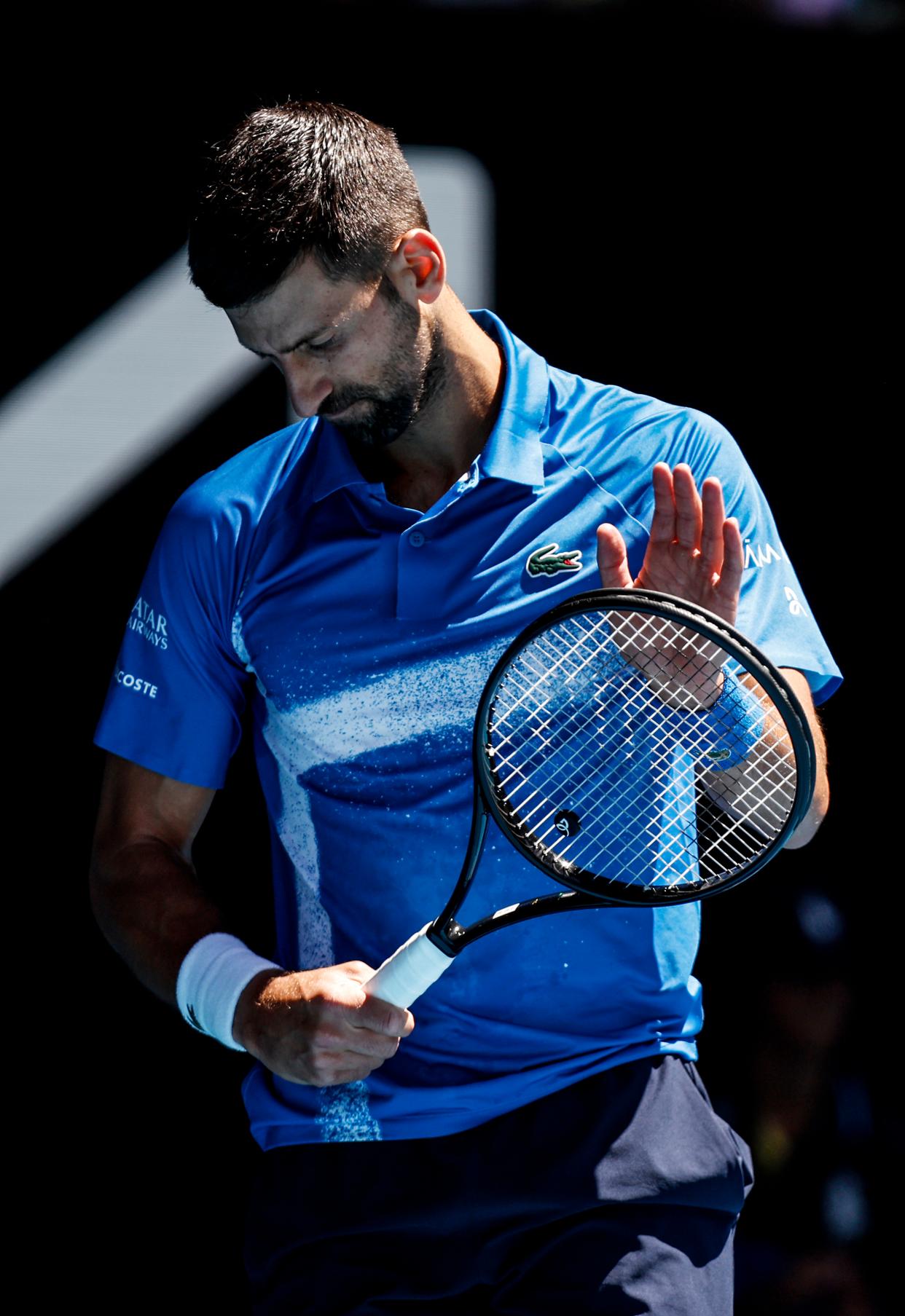 意大利网球队险胜澳大利亚网球队，兹维列夫高光表现