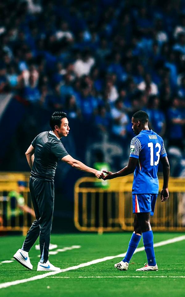 上海绿地申花对阵江苏苏宁，球迷热情高涨的简单介绍