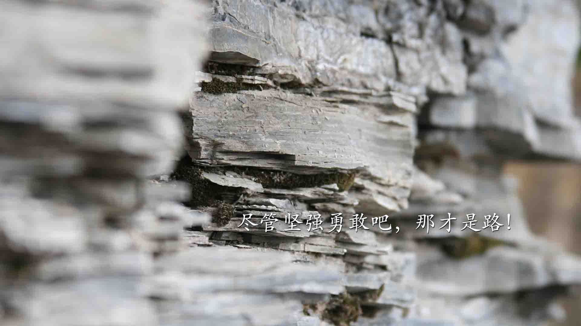 翱翔的雄鹰与孤狼的绝唱,库里里程碑之夜的双重奏