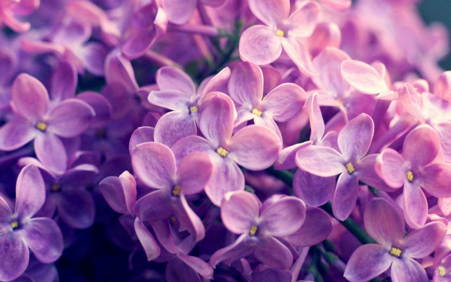 莫德里奇一锤定音，贝蒂斯强行终结卡塔尔资本足球时代？