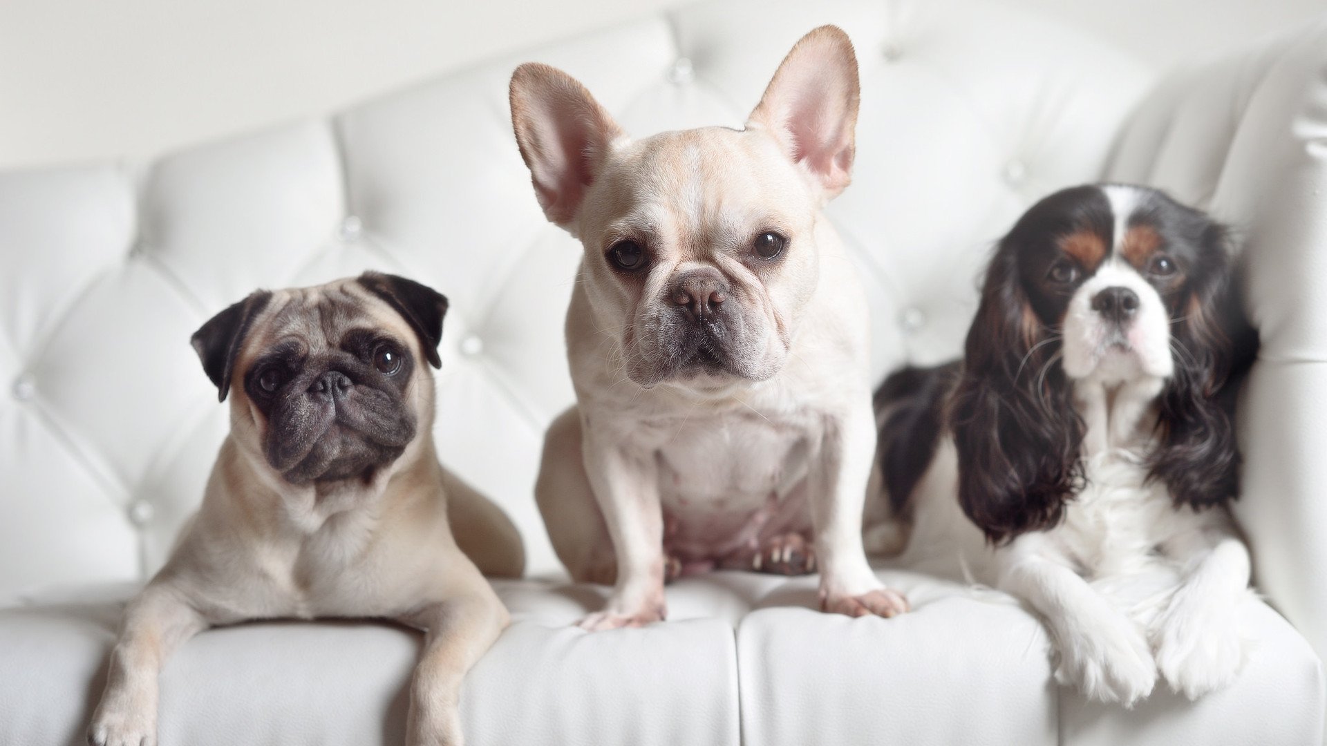 劳塔罗连续得分拉开差距，丹麦险胜安哥拉锁定小组出线关键战