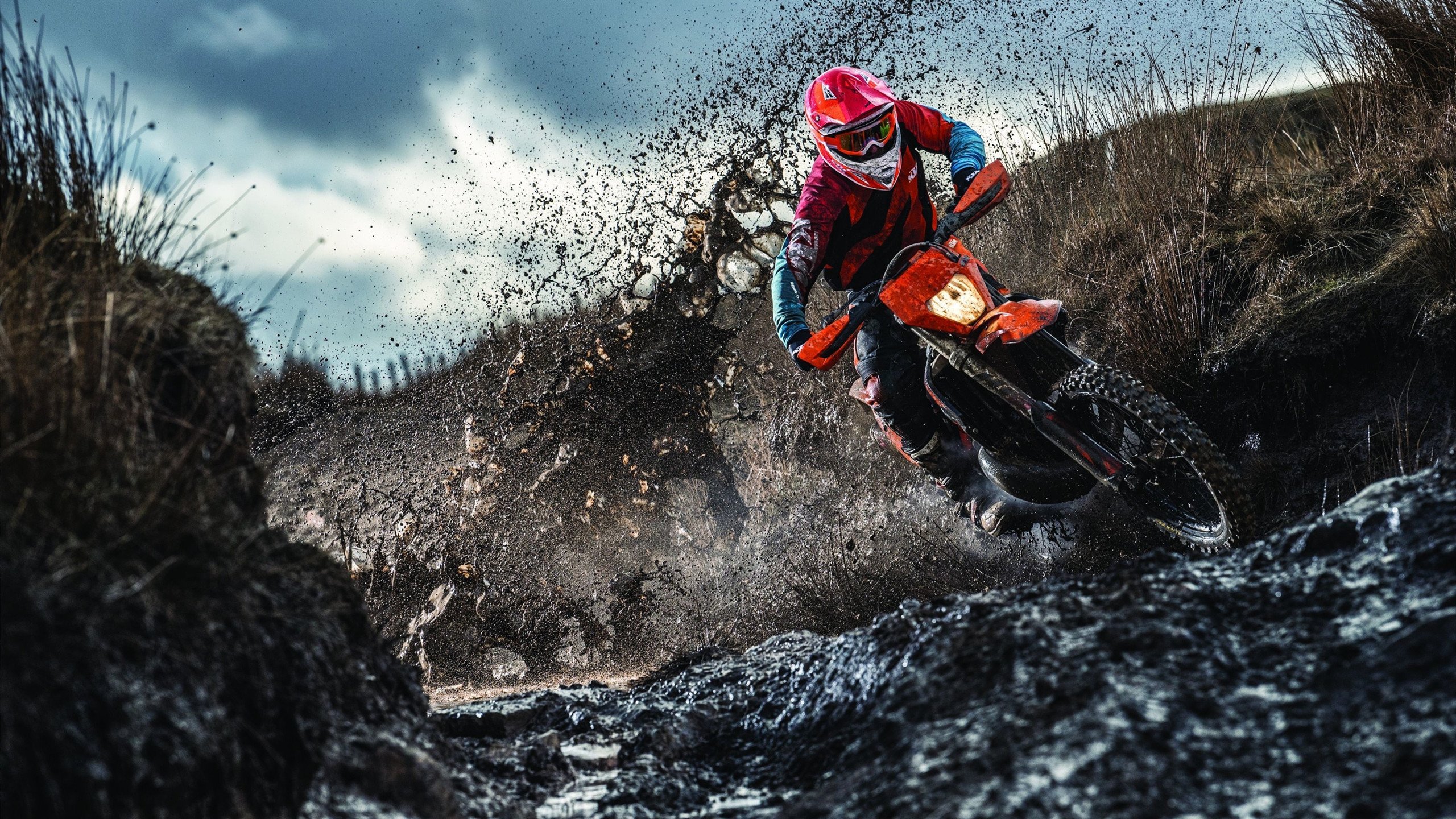 当巴西遇见巴黎，帕尔默的魔法之夜，一场跨越想象的足球对话